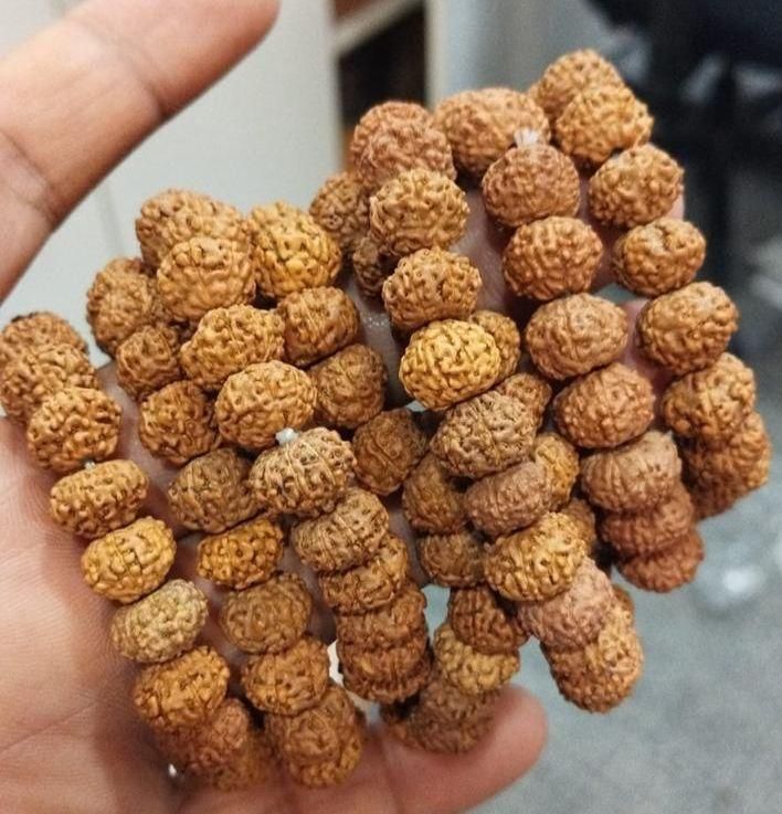 7 Mukhi Rudraksha Bracelet